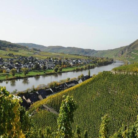 Sch Ne Wohnung In Der Moselregion Kinheim Экстерьер фото