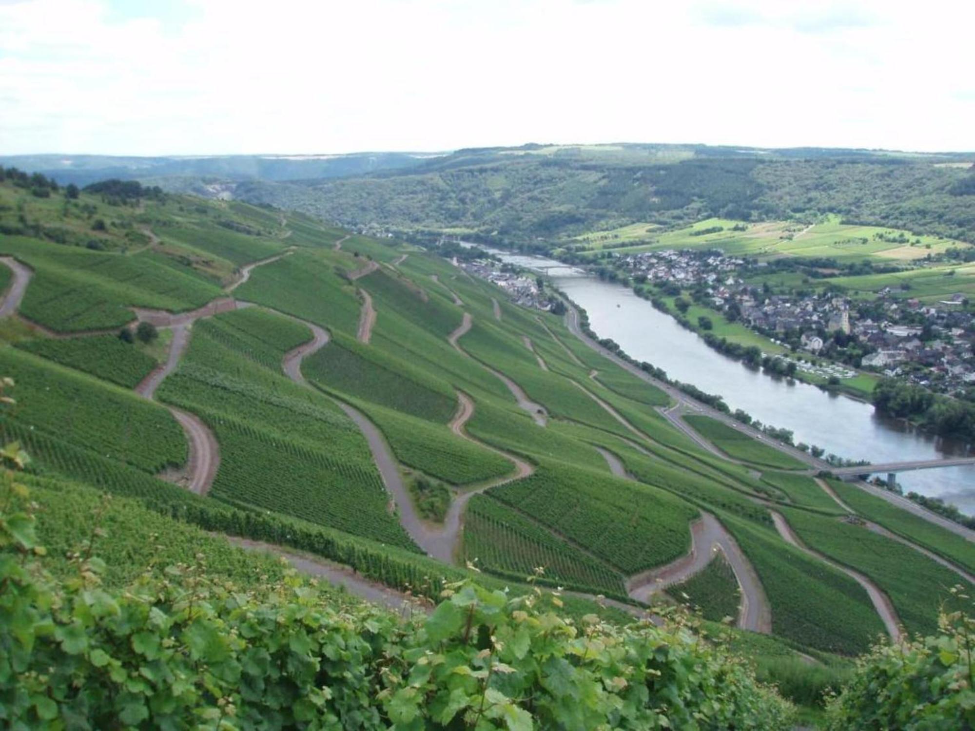 Sch Ne Wohnung In Der Moselregion Kinheim Экстерьер фото