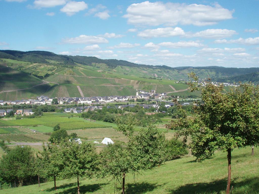 Sch Ne Wohnung In Der Moselregion Kinheim Экстерьер фото